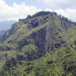 Ella Accommodation Dubai