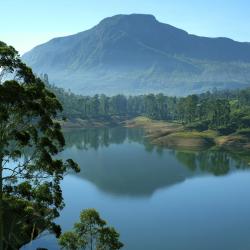 Matale District Accommodation Dubai