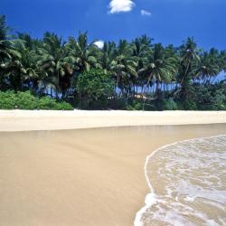 Mirissa Accommodation Dubai