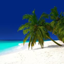 Baa Atoll Accommodation Dubai