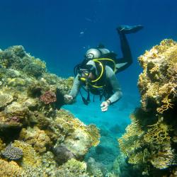 Dhigurah Accommodation Dubai