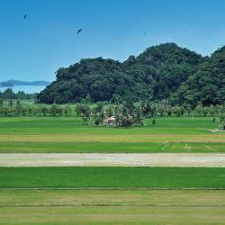 Kedah Accommodation Dubai