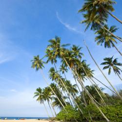 Terengganu Accommodation Dubai