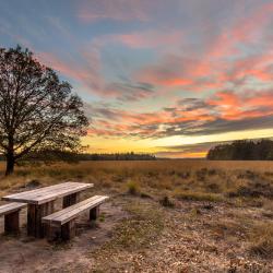 Drenthe Accommodation Dubai