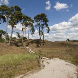 Gelderland Accommodation Dubai