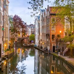 Utrecht Accommodation Dubai