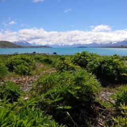 Lake Tekapo Accommodation Dubai