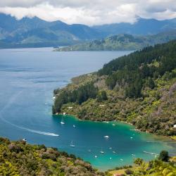 Marlborough Sounds Accommodation Dubai