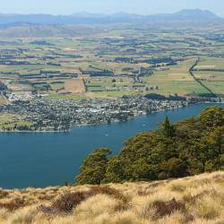 Te Anau Accommodation Dubai