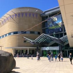 Te Papa Museum, Wellington Accommodation Dubai