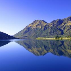 Wanaka Accommodation Dubai