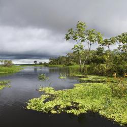 Ucayali Accommodation Dubai