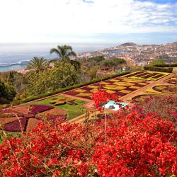 Funchal Accommodation Dubai