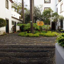 Funchal's Museum of Natural History, Funchal Accommodation Dubai