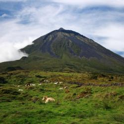 Pico island Accommodation Dubai