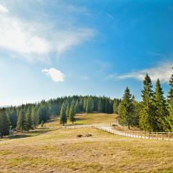 Predeal Accommodation Dubai