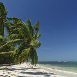 Grand'Anse Praslin Accommodation Dubai