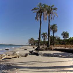 Casamance Accommodation Dubai