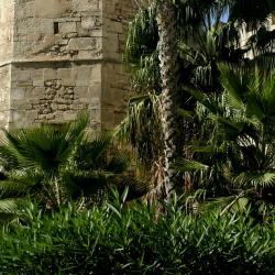 Sfax Accommodation Dubai