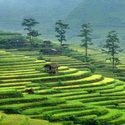 Ha Giang Accommodation Dubai