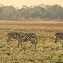 Kitwe Accommodation Dubai